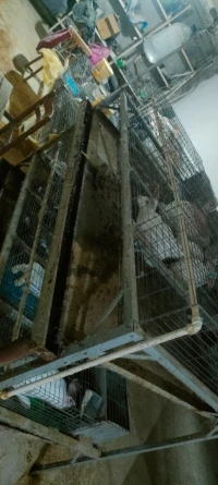 بيع قفص ارانب Cage pour lapin 