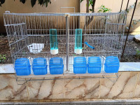 accessoire-pour-animaux-cage-separation-oiseaux-baba-hassen-alger-algerie