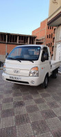 camion-hyundai-h100-2010-bordj-bou-arreridj-algerie