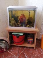 أكسسوارات-للحيوانات-aquarium-plus-table-accessoires-pour-les-poissons-شراقة-الجزائر