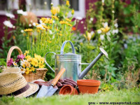 cleaning-gardening-amenagement-des-espaces-verts-entreprise-de-jardinage-nettoyage-alger-jardinier-pimpeniere-ben-aknoun-algiers-algeria