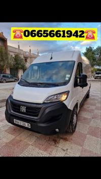 عربة-نقل-fiat-ducato-2024-مسيلة-المسيلة-الجزائر