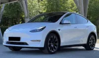 Tesla Model Y 2022 Propulsion