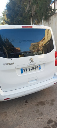 voitures-peugeot-expert-2024-la-toute-alger-centre-algerie