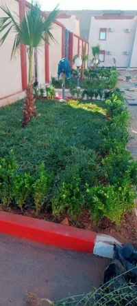 Gazon naturel et plantes aménagement espace vert 