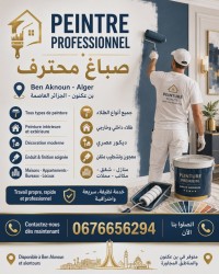 بناء-و-أشغال-painter-سطاوالي-الجزائر
