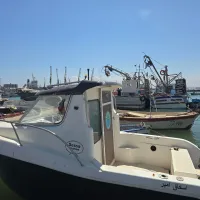 sessa