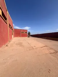Location Hangar Oran Es senia