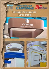 إشهار-و-اتصال-stands-caissons-publicitaires-en-carton-ondule-personnalises-الرويبة-الجزائر