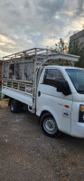 camion-hyundai-h100-2009-lakhdaria-bouira-algerie