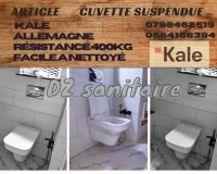 Cuvette suspendue kale