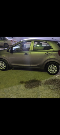 voitures-kia-picanto-2019-lx-start-ain-temouchent-algerie