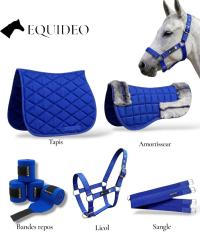 خيول-materiel-equitation-لوازم-العواد-المحمدية-الجزائر