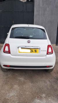 cars-fiat-500-2024-cult-mib-ouled-chebel-alger-algeria