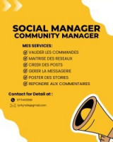 administration-management-social-community-manager-birtouta-alger-algerie