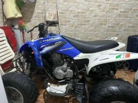 Quad