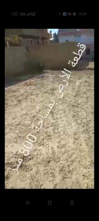 أرض-بيع-مستغانم-سيدي-لخضر-الجزائر