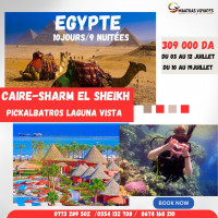 voyage organisé hôtel Pickalbatros sharm el sheikh combiné le caire 