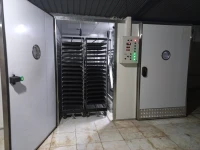couvoir 19200 - 57600 œufs