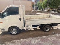 fourgon-hyundai-h100-2009-bordj-bou-arreridj-algerie