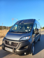 utilitaire-fiat-ducato-2024-l2h2-annaba-algerie