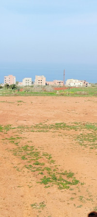 terrain-vente-tipaza-ain-tagourait-algerie