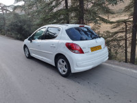 voitures-peugeot-207-2013-allure-batna-algerie