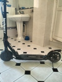 Scoot