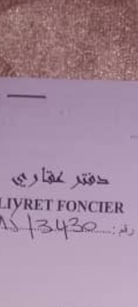 أرض-بيع-الجزائر-السحاولة