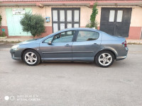 berline-peugeot-407-2004-achaacha-mostaganem-algerie