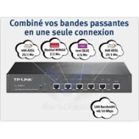 Le routeur TP-Link TL- R 480 T+