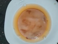 scoby+300ml starter kombucha