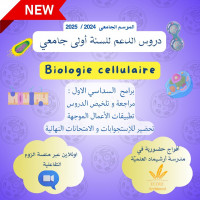 ecoles-formations-cours-de-soutiens-universitaires-bab-ezzouar-alger-algerie