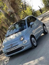 voitures-fiat-500-2024-culp-kolea-tipaza-algerie