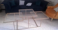 Canapé +table basse +3table gigogne +2 fauteuil d1 place