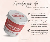 DÉMOULANT P100 MORTEXIA