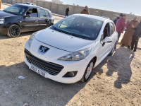 voitures-peugeot-207-2011-relizane-algerie