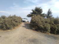 voitures-peugeot-206-2000-algerie