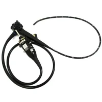À VENDRE : Gastroscope Olympus GIF-H190