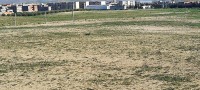 land-sell-bordj-bou-arreridj-el-achir-algeria