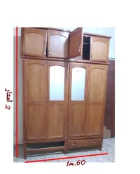الكاليتوس