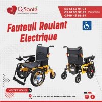 Fauteuil Roulant Electrique 110
