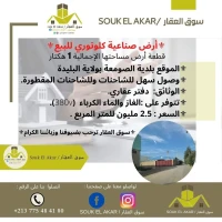 Vente Terrain Blida Soumaa
