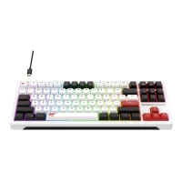 Clavier Gamer Mécanique RGB Havit KB902L Black/White/Red