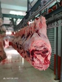 مستودع-مصنع-كراء-عين-الدفلة-خميس-مليانة-الجزائر