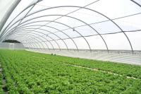 equipement-agricole-la-serre-ouled-fayet-alger-algerie