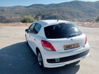 voitures-peugeot-207-2012-batna-algerie