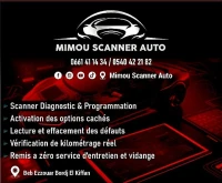 Scanner auto et Activation des options cachés à domicile 