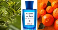 Parfums Originaux CABA Bon Prix !
