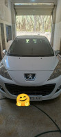 citadine-peugeot-207-2012-tolga-biskra-algerie